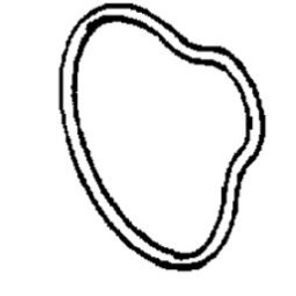 OPEL 94173158 Oıl Pumps Mountıng And Spare Parts 646281