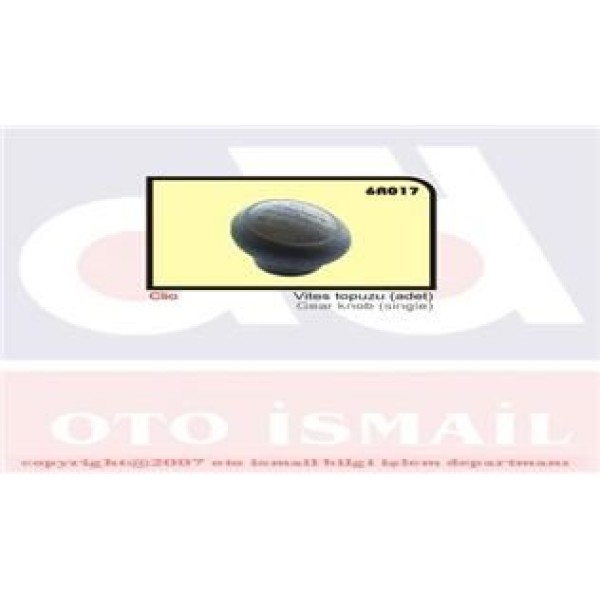 OZAR 6R017 Vites Topuzu CLIO