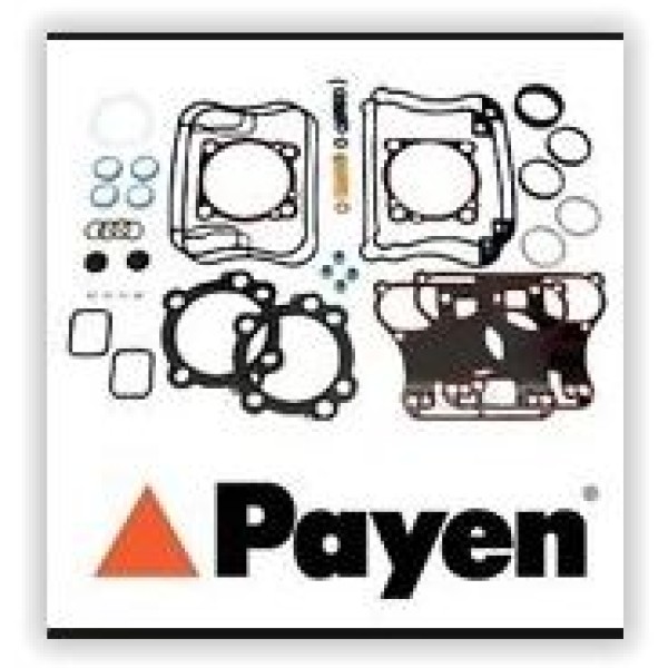 PAYEN DX391 Motor Takım Conta Üst 2.8 TDI S9W 2.8 Td 