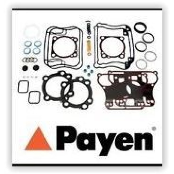 PAYEN EA140 Motor Takım Conta Alt CLIO Kangoo Twingo 1.2 8V D7F 