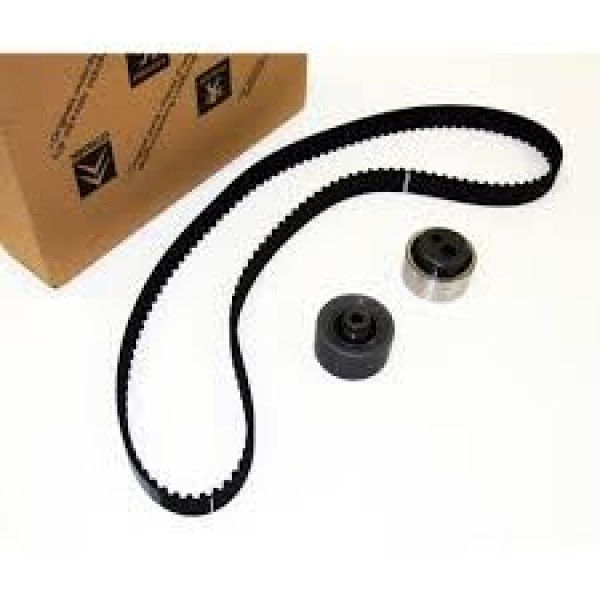 PEUGEOT 0831.V6 Triger Eksantrik Gergi Seti 307 308 407 807 / C4 Picasso C5 II X7 C8 Ew7A Ew10A 153 