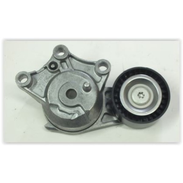 PEUGEOT 1613255480 Alternatör V Kayış Gergi Rulmanı Ds4 P208