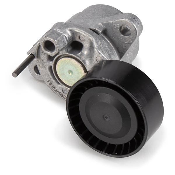 PEUGEOT 1631627680 Alternatör Gergi Rulmanı 1.5 HDI Parner Rifter