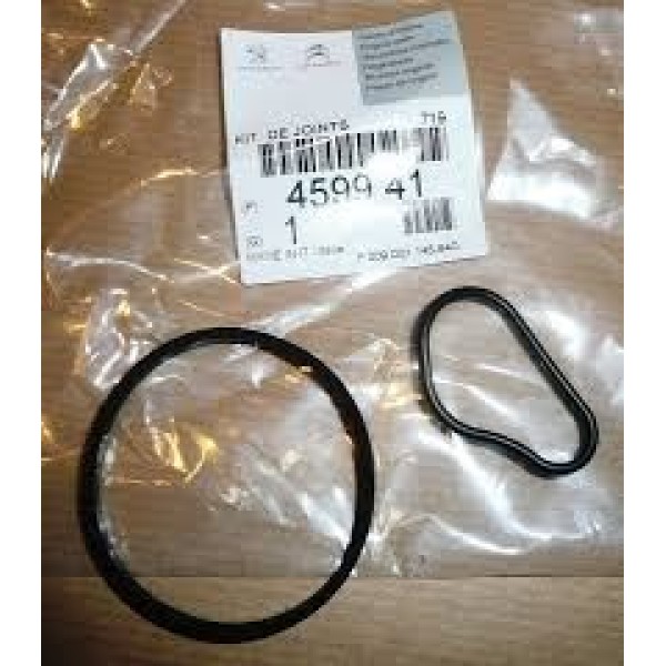 PEUGEOT 4599.41 Vakum Pompa Contası 207 307 407 1.6HDI Takımı