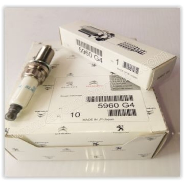 PEUGEOT 5960.G4 Bujisi 308