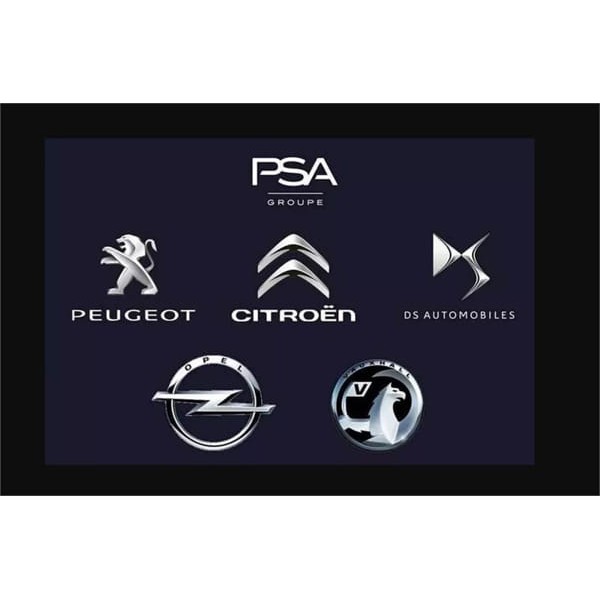 PEUGEOT 6438.69 Sol Tampon Ön Fıskiye 306 