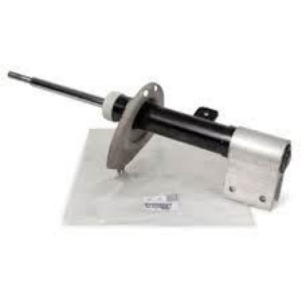 PEUGEOT 9825409580 Ön Amortisör Sağ C4 II Peugeot 97-00 