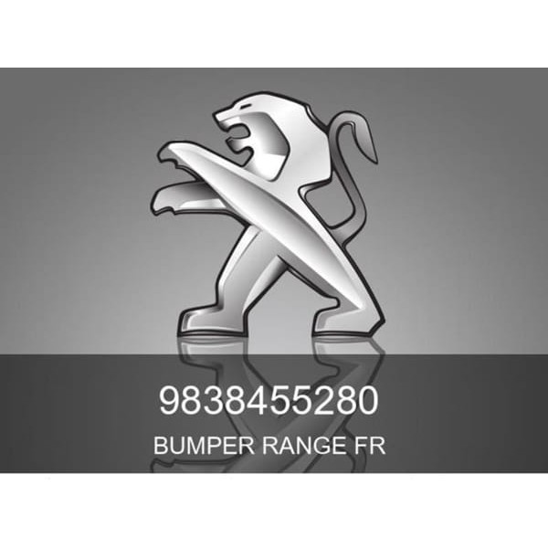 PSA 9838455280 N Tampon Bağlantı Plaka 