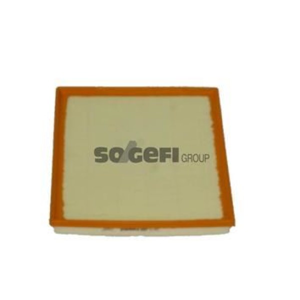 PURFLUX A1562 Hava Filtresi Tourneo Custom 12- Transit Tourneo 07- 2.2 TDCI