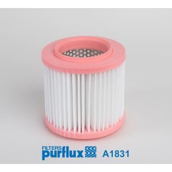 PURFLUX A1831 Hava Filtresi (Audi : A8 (4E2,4E8) S8 Quattro 06-10)