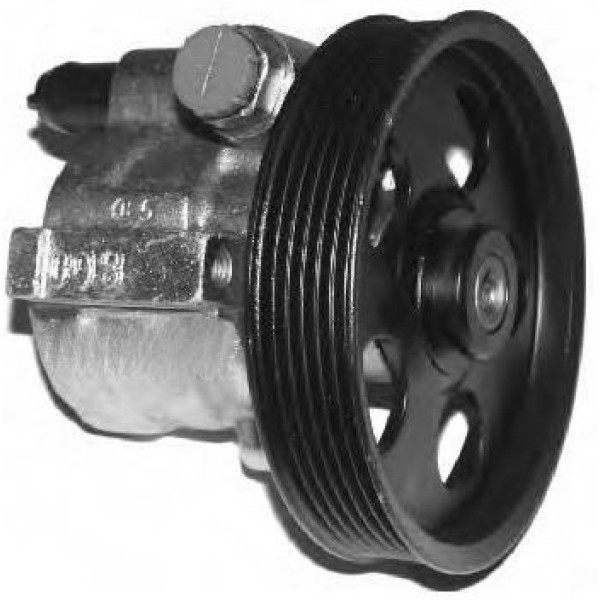 RAMSAN 211250 Direksiyon Pompası Hidrolik 6 Kanal CLIO 1.4 1.6 91- Kangoo 1.2 1.4 98- Kangoo 1.5DCI 