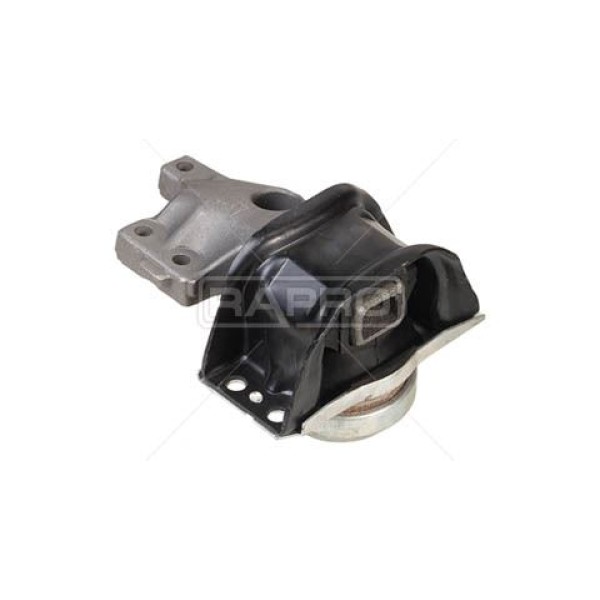 RAPRO 52138 Motor Takozu 307 2.0 HDI 8V 