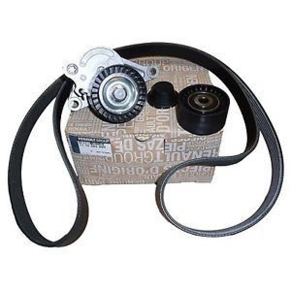 RENAULT 117209389R Alternatör Gergi Seti Master III Movano 2.3 DCI 10-