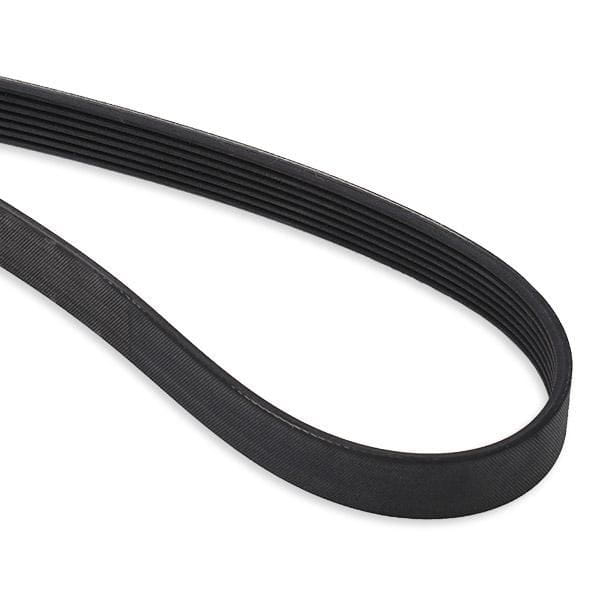 MY 119202462R Kompresör Kayışı 