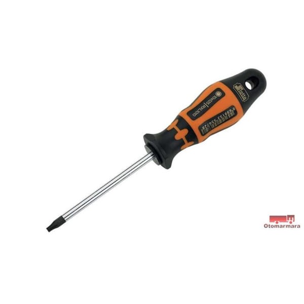 RETTA RXT1020 T20 Torx Tornavida Delikli