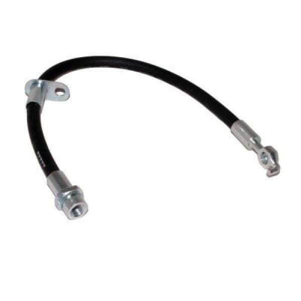 RIW CI51705 Arka Fren Hortumu Cıtro N C1 