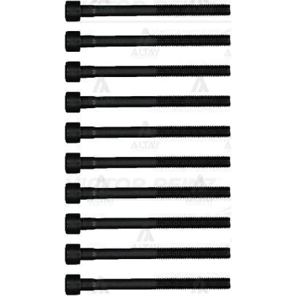 REINZ 14-17517-2 Silindir Kapak Saplama Seti M10 (Renault: Megane IV 1.6 16V)