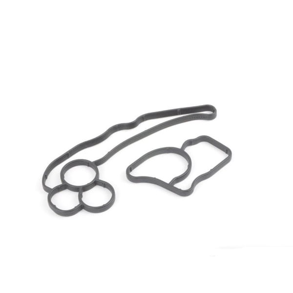 REINZ 15-10050-1 Yağ Kütük Contası Bmw N47N 