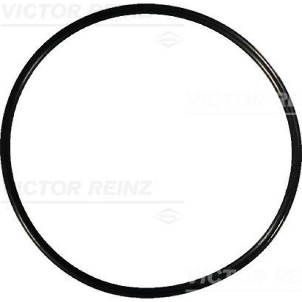 REINZ 40-76741-0 Üst Kapak Contası Laguna Safrane 2.0 2.5