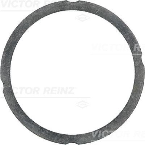 REINZ 61-25475-60 Silindir Kafa Contası 