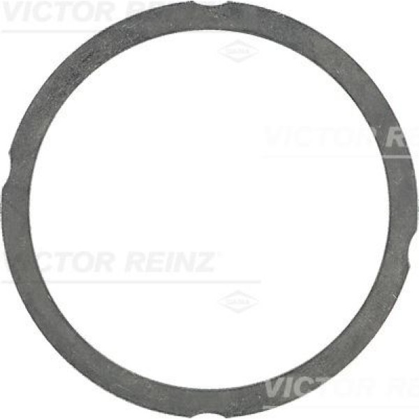 REINZ 61-25475-70 Silindir Kafa Contası 