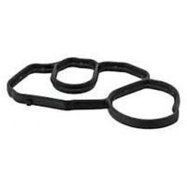 REINZ 70-18635-0 Bmw N13 Yağ Filtre Hazne Contası 11427625484