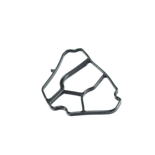 REINZ 70-37014-0 Bmw M47N Yağ Soğutucu Conta 11427787695