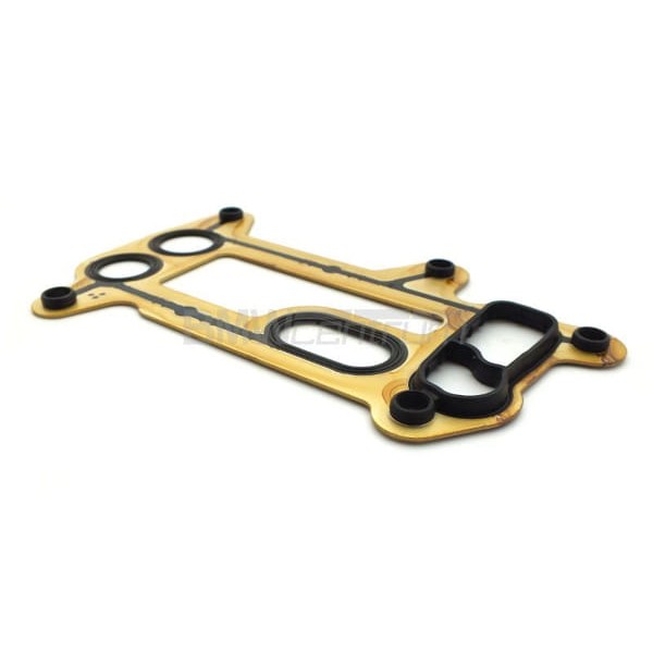 REINZ 70-39384-0 Yağ Soğutucu Contası Bmw E60 N47