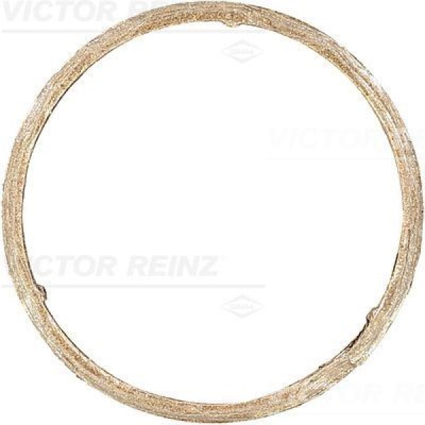 REINZ 71-11399-0 Egzoz Boğaz Contası Bmw F20 F30