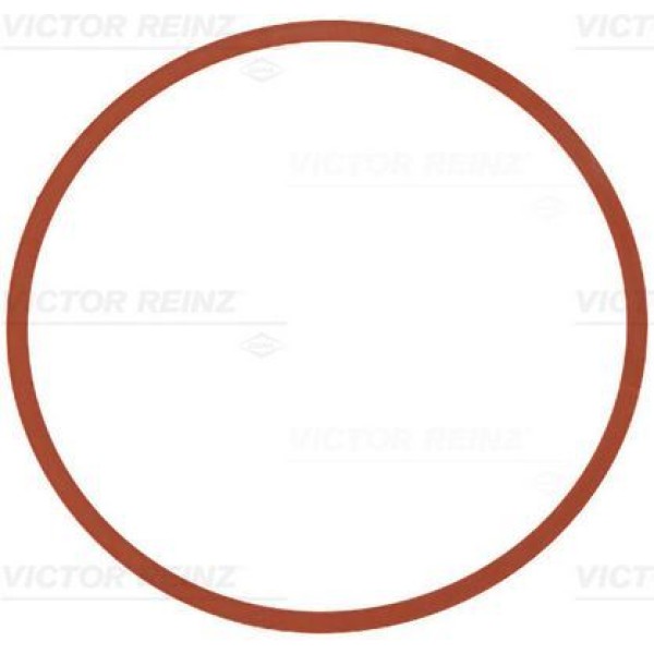 REINZ 71-11403-0 Emme Manifold Contası Bmw F20 F30 F39 B38 B48