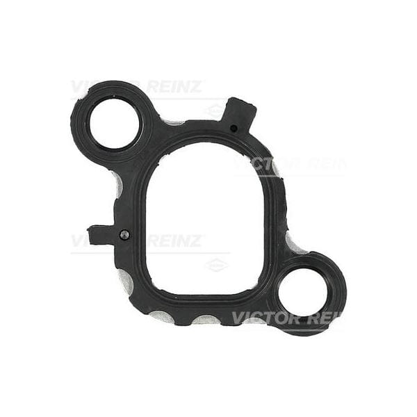 REINZ 71-36079-0 Manifold Contası Transporter T5 2.5 TDI 4. Ve 5. Silindir Emme 