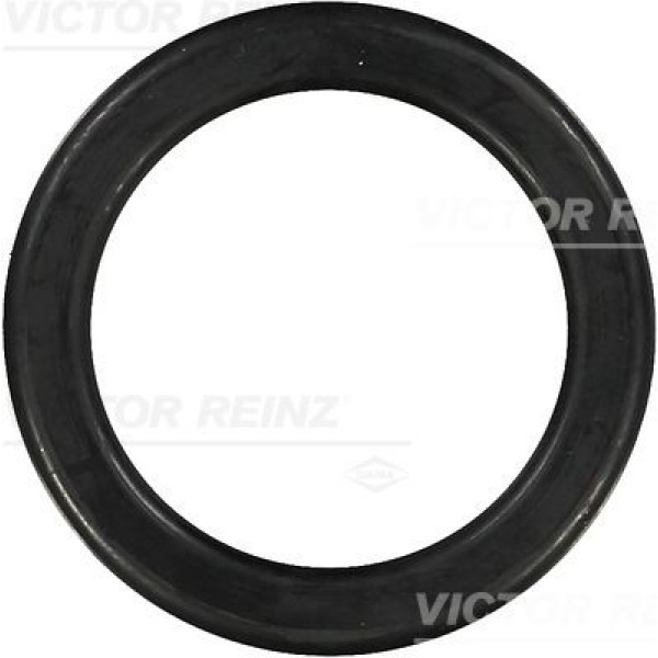 REINZ 712649600 Silindir Kafa Contası Cover