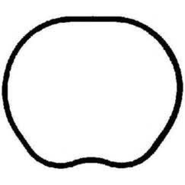 ROYAL H7566400 Emme Manifold Takım Contası Focus II 1.6 16V 03-07 07- 100Hp Silikon Volvo S40 1.6 V5 