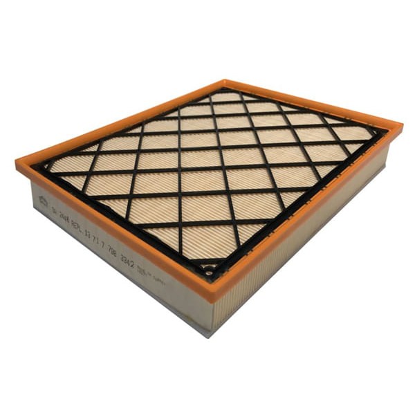 SARDES SA2446 Hava Filtresi Bmw X6 E71 Xdrive35D 3.0Dt X5 E70 