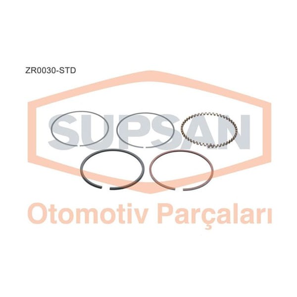 SUPSAN ZR0030-STD Segman Std Renault 12 Renault 9 1400 59-72Ps