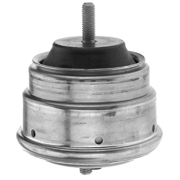 SWAG 20130048 Motor Takozu FEBI 17861 