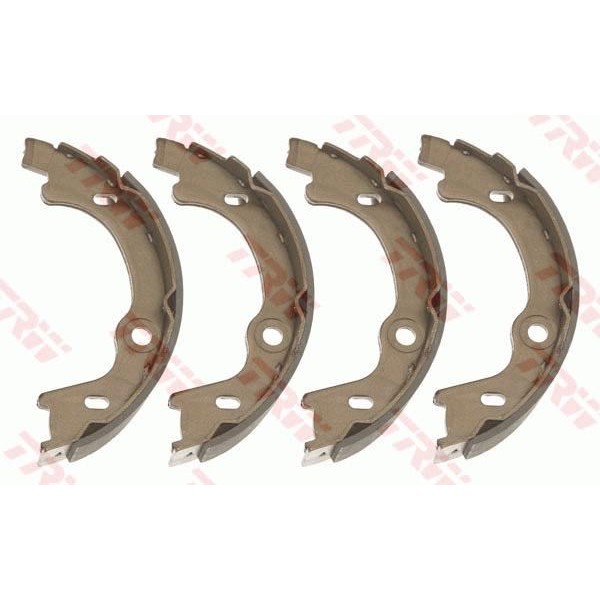 TRW GS8807 Kampana Balata Carens 05- 170X31,5 