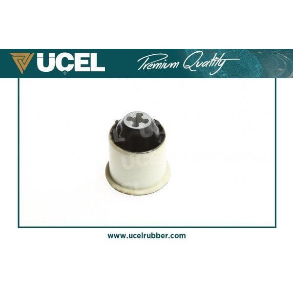 ÜÇEL 10733 Torsiyon Burcu Arka CLIO II Megane II 