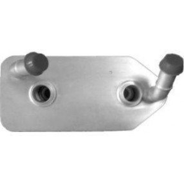 VITESSE 209 Otomatik Şanzıman Yağ Soğutucu Civatası Küçük