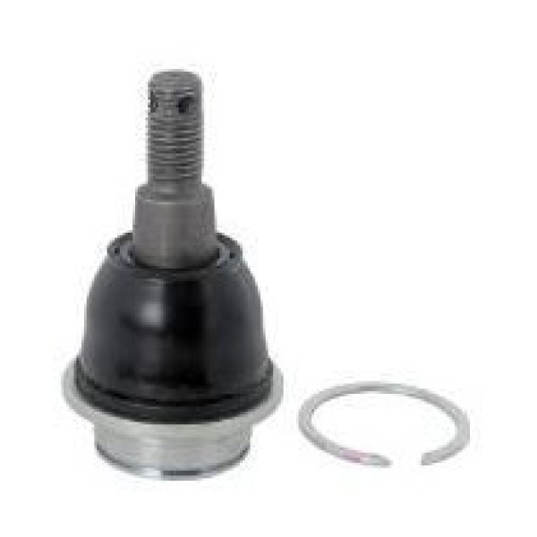 VOTTO 17-16101 Rotil Ranger T6 11- 