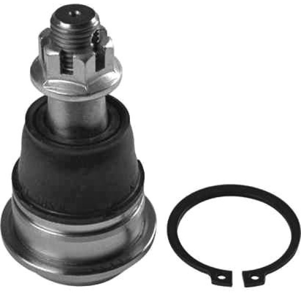 VOTTO 41-1102 Rotil Almera Tıno V10 00- Maxıma 00-06 