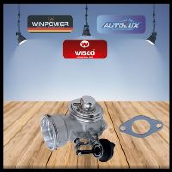 WISCO 038131501AL EGR Valfi Audi A4 Passat T5 1.9TDI Avf Axb