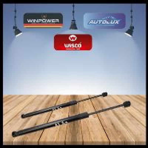 WISCO 13321298 Bagaj Amortisörü 660N Opel Insignia Hb 08-17