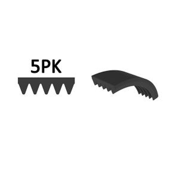 WISCO 5PK1485 V Kayışı Man F00 Tga 18.360 99 -