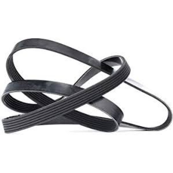 WISCO 6PK1565 V Kayışı Nemo Xsara Fiorino Bipper Partner 