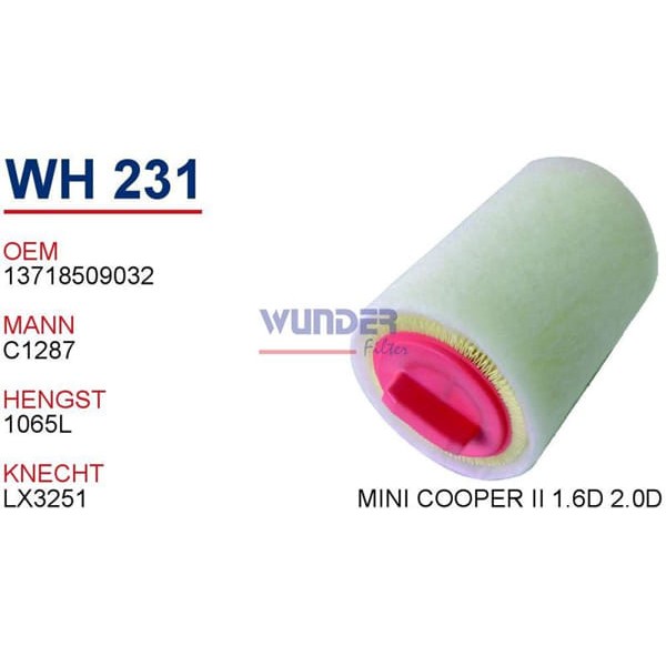 WUNDER WH231 Hava Filtresi Cooper 07-