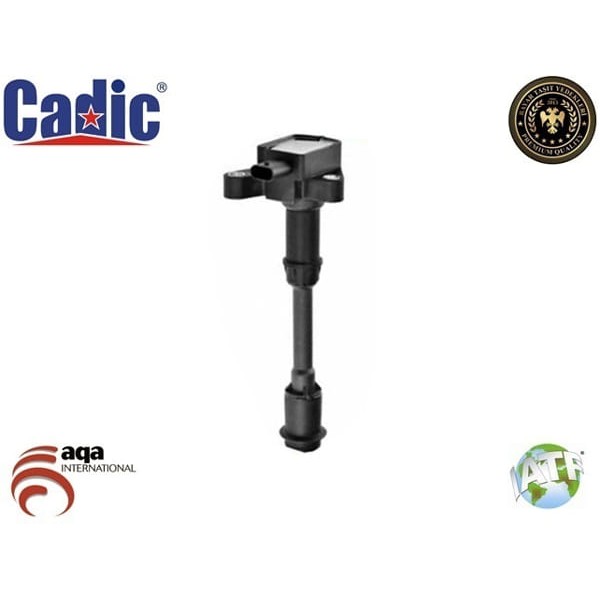 CADIC 45002066 Ateşleme Bobini (Kalem) Mondeo IV 07-14 1.6 Ecoboost Volvo S60 II (134) T3 10- S80 II