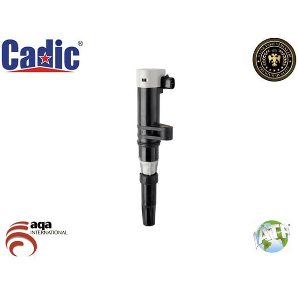 CADIC 45004177 Ateşleme Bobini Duster Logan Kubıstar CLIO Fluence Scenic Kangoo Laguna Megane I II I