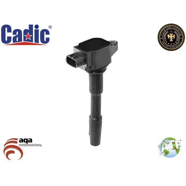 CADIC 45004428 Ateşleme Bobini 0.9 1.2 CLIO IV Captur Kadjar Megane III IV Dokker 