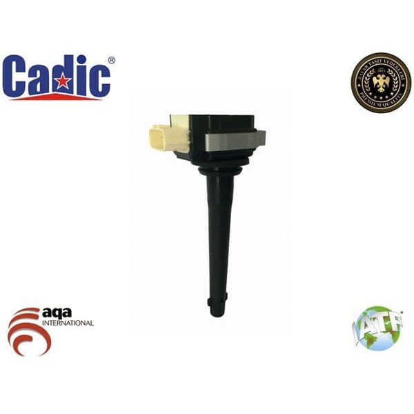 CADIC 45004627 Ateşleme Bobini Megane III Fluence Scenic III Latitude 2.0 16V